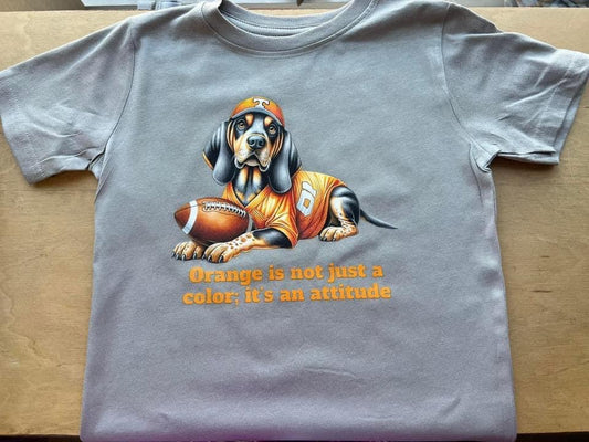 TN Orange youth Tee